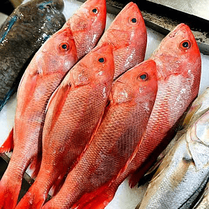 Huachinango Grande 2 KG