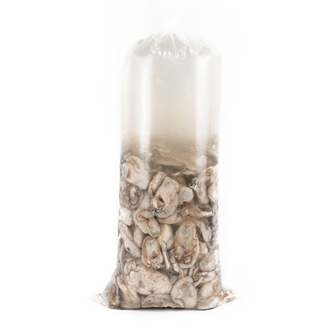 Ostion bolsa frasco 1