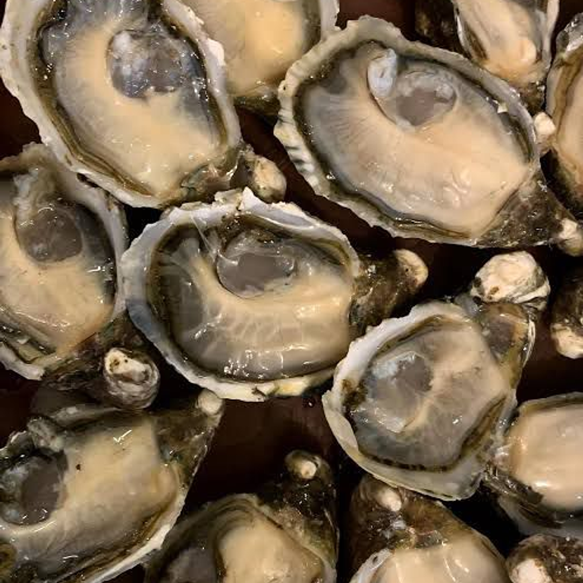 Ostion Pai Pai por docena 1