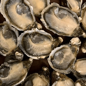 Ostion Pai Pai por docena