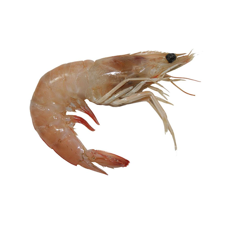 Camarón cristal fresco con cabeza chico KG 1