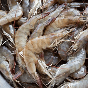 Camarón Grande con cabeza KG