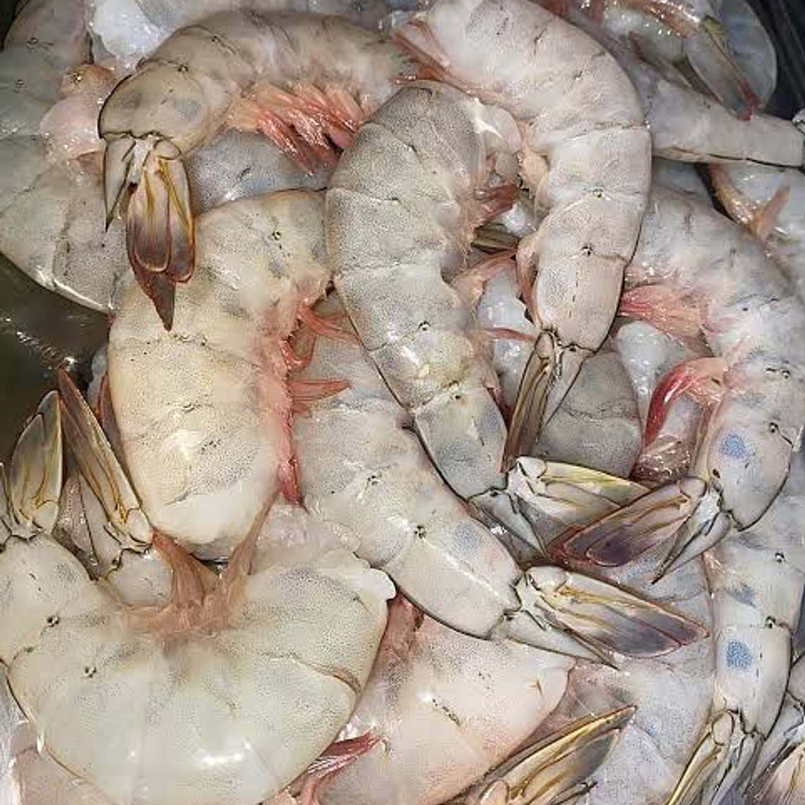 Camarón Jumbo Fresco Cristal KG 1