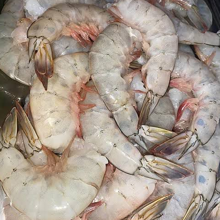 Camarón Jumbo Fresco Cristal KG 1