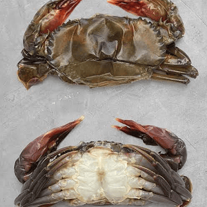 Jaiba Concha Suave KG