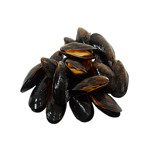 Mejillón Chileno KG