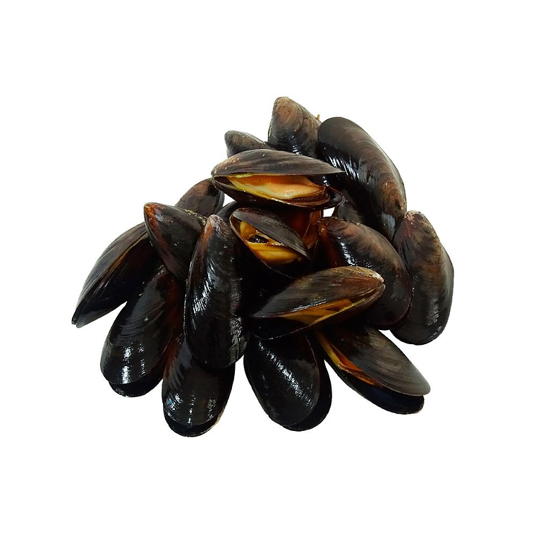 Mejillón Chileno KG 1