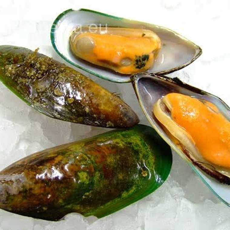 Mejillón Nueva Zelanda KG 1