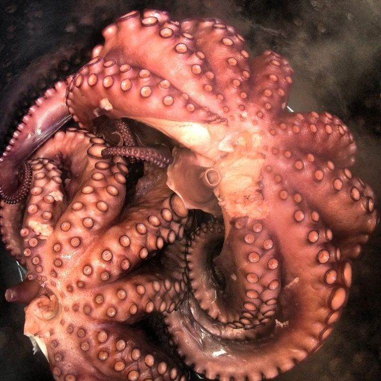Pulpo Precocido KG 1