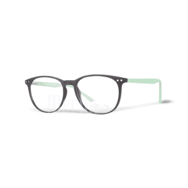 Armazón Óptico AGUSTINO TR90 Negro y Verde