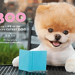 Boo : The Life of the World's Cutest Dog (Halloween Books for Kids, Halloween Books for Toddlers, Cute Halloween Stories)