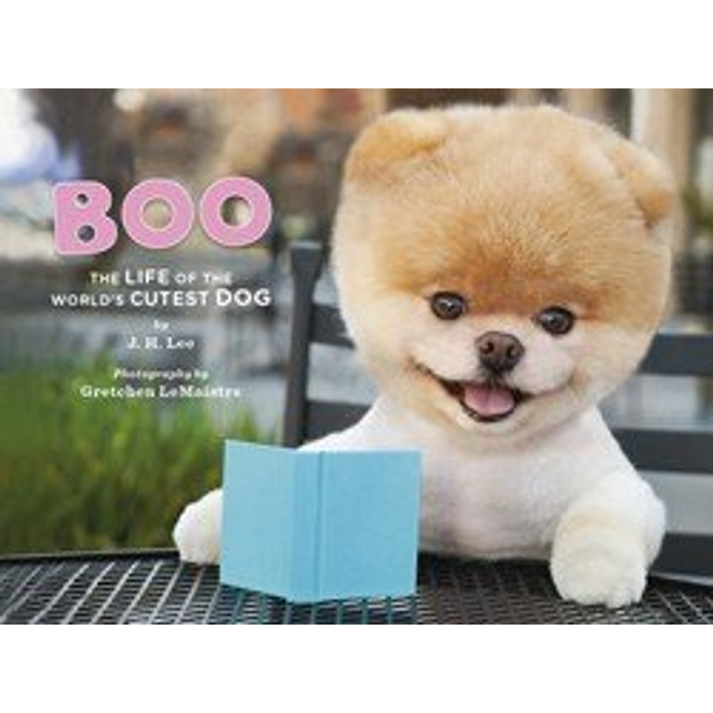 Boo : The Life of the World's Cutest Dog (Halloween Books for Kids, Halloween Books for Toddlers, Cute Halloween Stories)