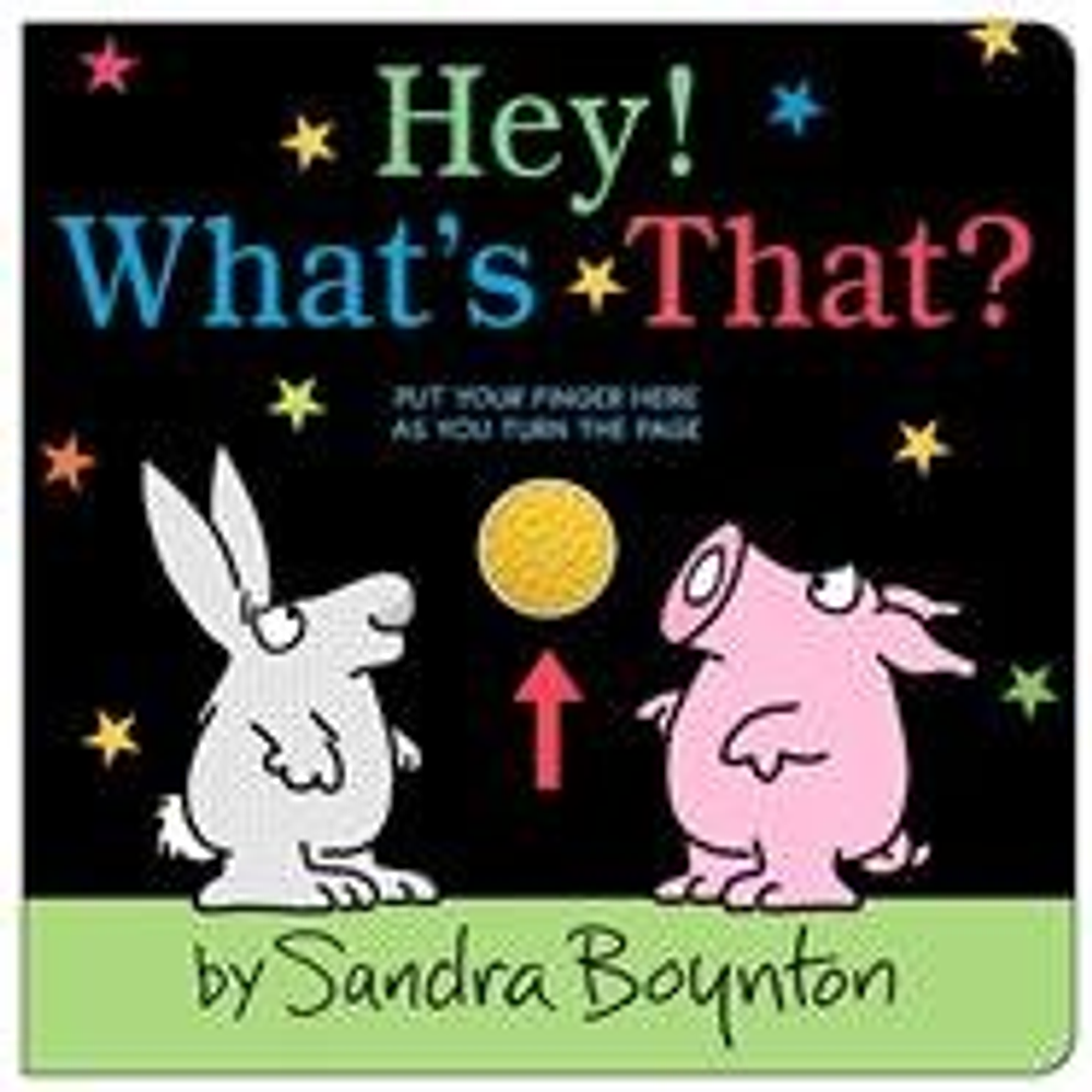 Hey! What's That? - by Sandra Boynton (Board Book)