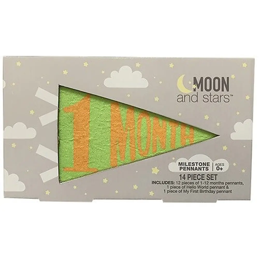 Moon Stars Baby Milestone Pennants - 1.0 Ea