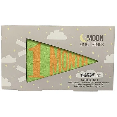 Moon Stars Baby Milestone Pennants - 1.0 Ea