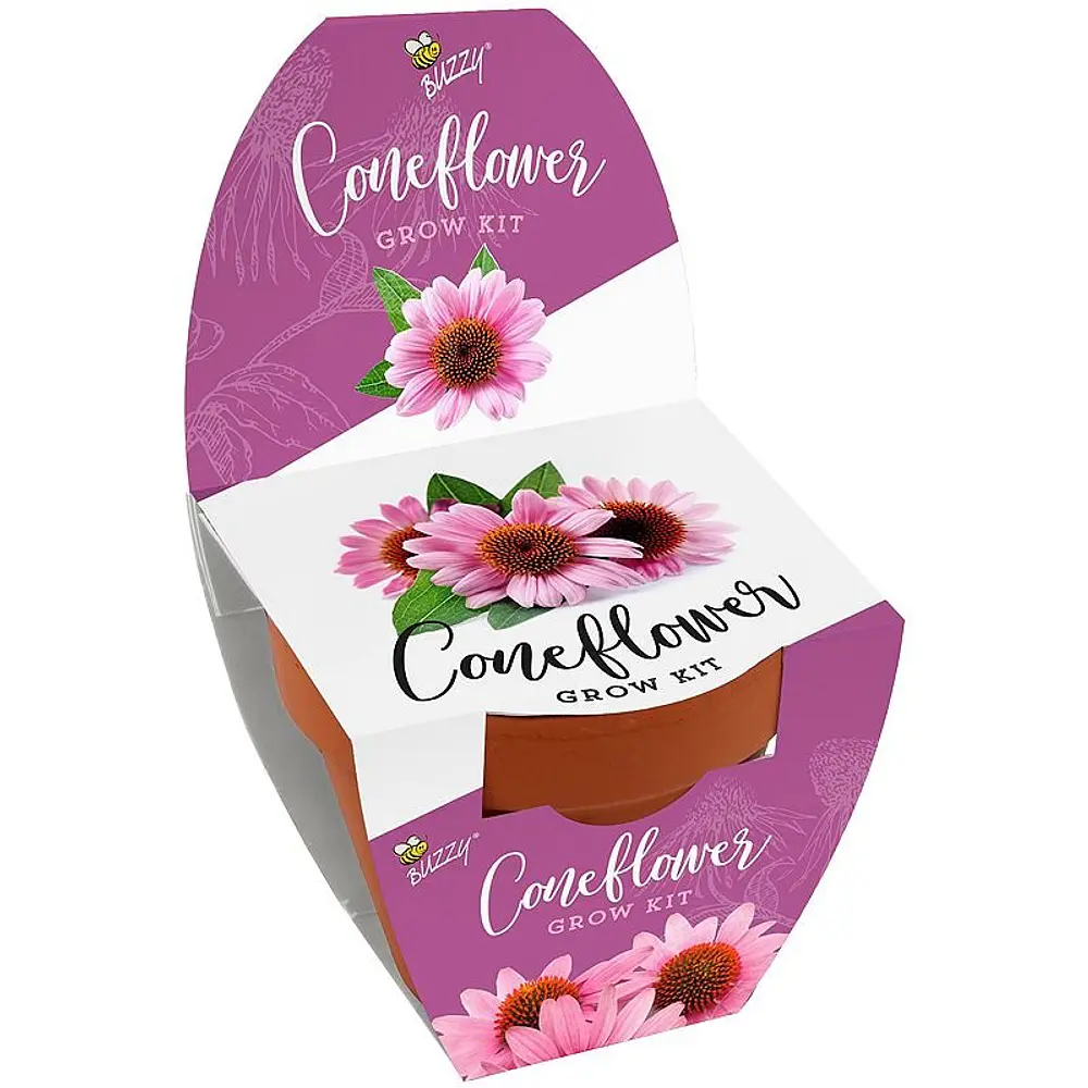 Buzzy Seeds Classic Terra Cotta Coneflower Grow Kit, Multicolor