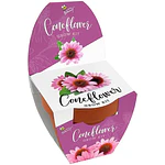 Buzzy Seeds Classic Terra Cotta Coneflower Grow Kit, Multicolor