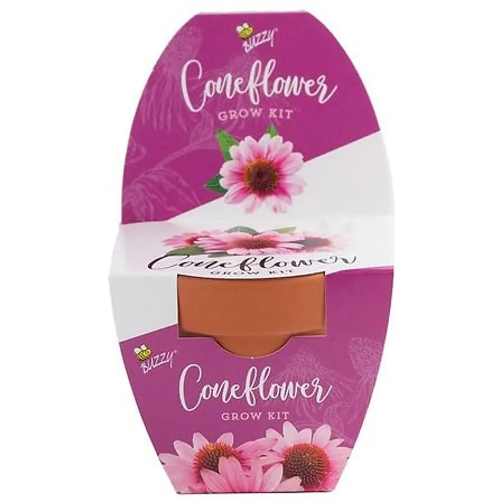 Buzzy Seeds Classic Terra Cotta Coneflower Grow Kit, Multicolor