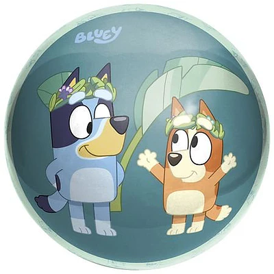 Ball, Bounce & Sport Playball - 1.0 ea