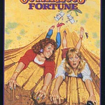Outrageous Fortune (DVD)  Mill Creek  Comedy
