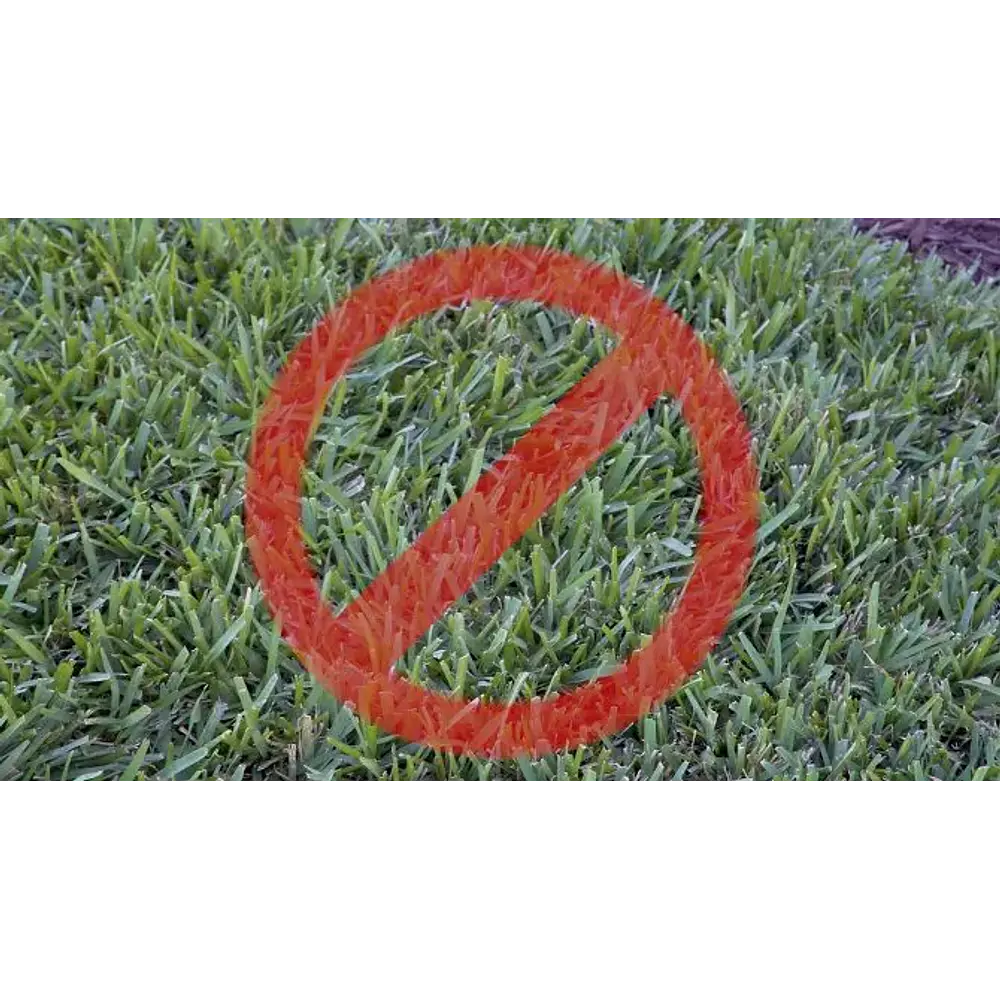 Scotts 32oz Liquid Turf Builder with Plus 2 Weed Control