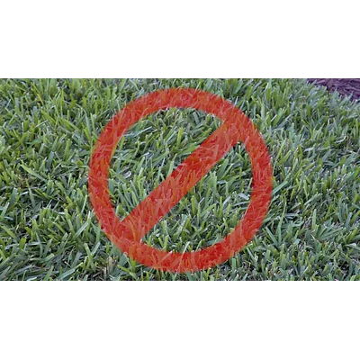 Scotts 32oz Liquid Turf Builder with Plus 2 Weed Control
