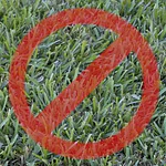 Scotts 32oz Liquid Turf Builder with Plus 2 Weed Control