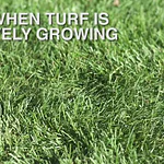 Scotts 32oz Liquid Turf Builder Lawn Food
