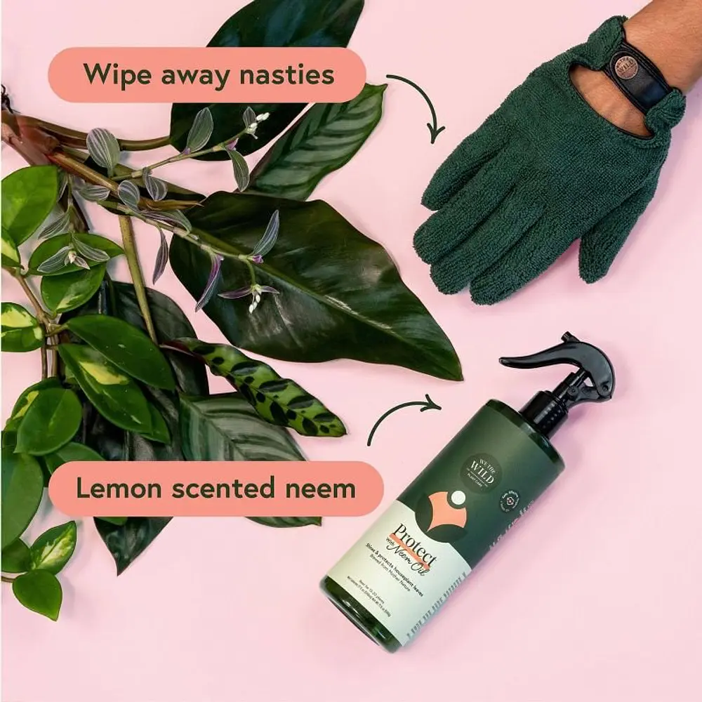Houseplant Leaf Health Kit - WE THE WILD