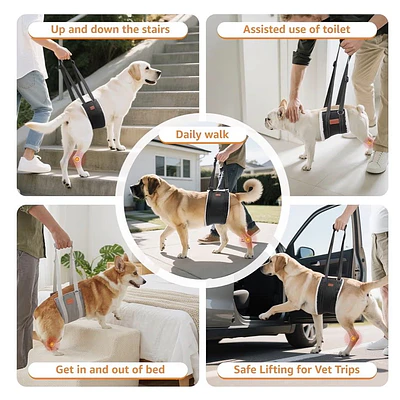LOOOBANI Portable Dog Sling for Back Legs, Hip Support Harness to help lift Dogs Rear (S)