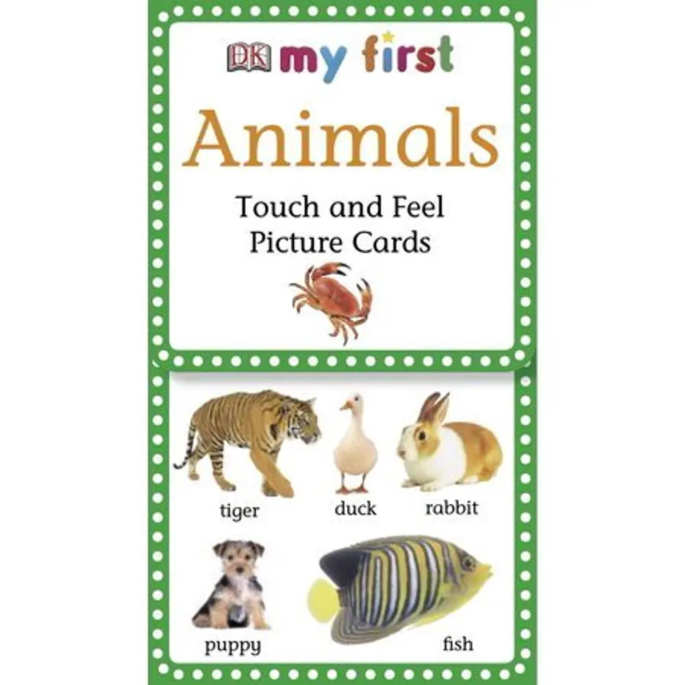 My 1st T&f Picture Cards: My First Touch & Feel Picture Cards: Animals (Other)