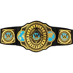 WWE Championship Intercontinental Champion Title  Kid-Sized Role-Play & Costume Belt Accessory