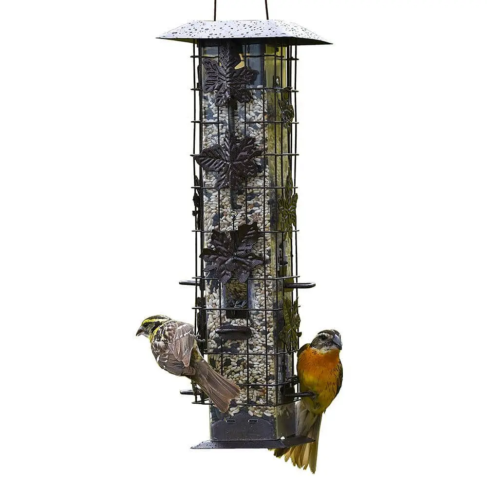 Perky-Pet 336-1SR Squirrel-Be-Gone Squirrel Proof Bird Feeder  2LB  Outdoor Wild Bird Feeder with Weight-Activated Perches
