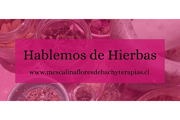 Hablemos de Hierbas