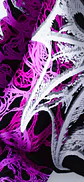 TENEBRV PINK - Miniatura 4