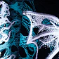TENEBRV AQUA GREEN - Miniatura 3