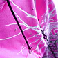  HYDRV PINK WHITE - Miniatura 6