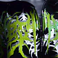 XL SKYRIM FLUOR GREEN - Miniatura 1