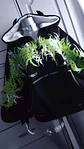XL SKYRIM FLUOR GREEN - Miniatura 5
