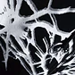 ARACNE FULL - Miniatura 3