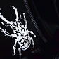  INSECTARIV - Miniatura 5