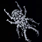  INSECTARIV - Miniatura 6