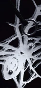 L ☆ ARACNE - Miniatura 2
