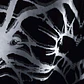 L ☆ ARACNE - Miniatura 6