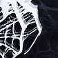 L☆ARACNE FULL SUMMER - Miniatura 7