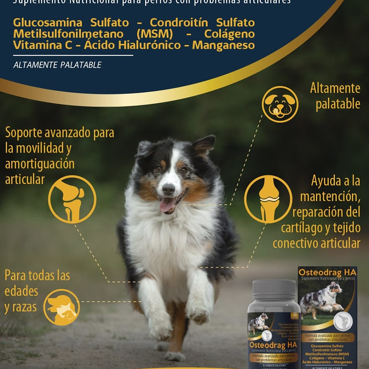 Suplemento alimenticios HA 30 comprimidos Osteodrag 6