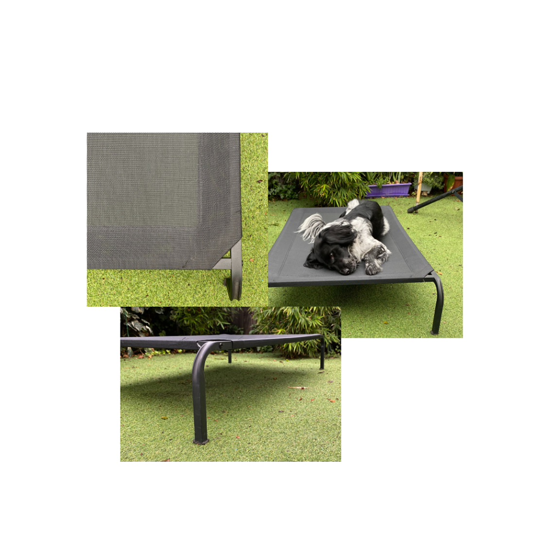 Cama elevada para mascotas 4