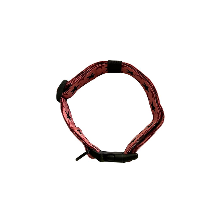Collar de estrellas para perros 3