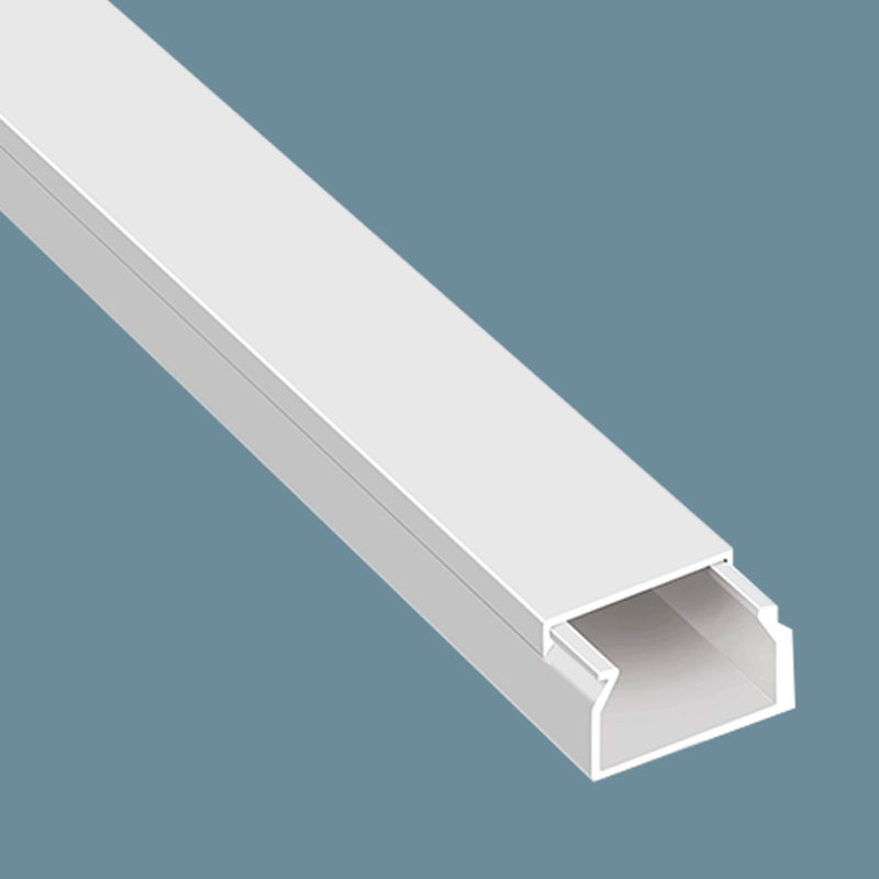 Canaleta 20x10 (2 mts) S/A 1