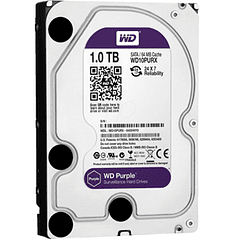 Disco Duro WD Purple 1TB